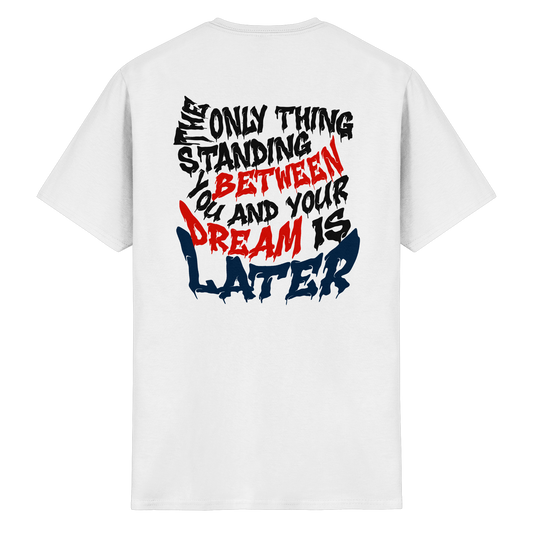 PAV8 - Dreams - Heavy Cotton T-Shirt